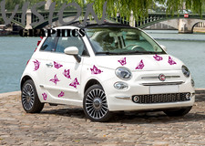Butterfly Car Stickers 16