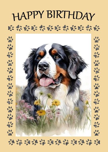 Bernese mountain dog birthday - bernese,