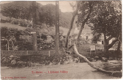 Montgomeryshire llyfnant - -,