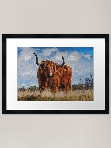 Highland bull framed art - framed, print