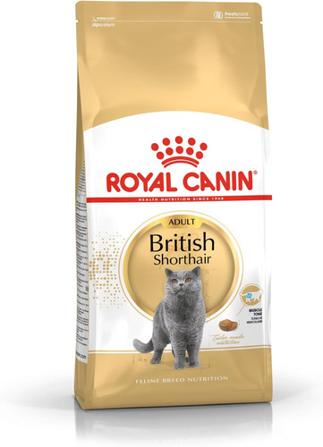 British shorthair adult dry - shorthair,