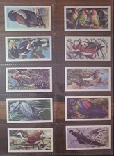 Brooke Bond Tea Cards