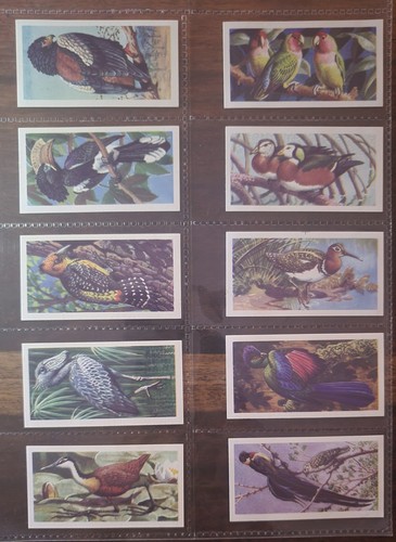 Brooke bond tea cards - bond,