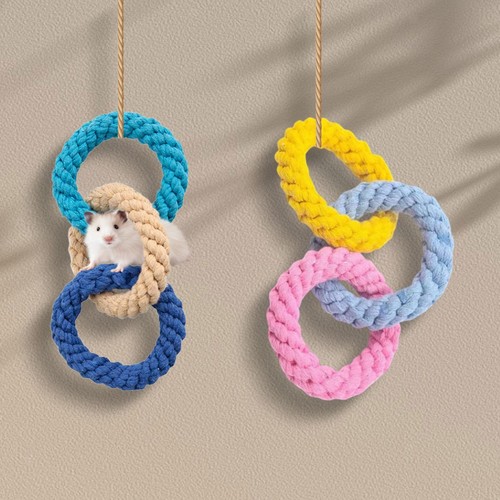 Parrot rope swings birds - parrot,