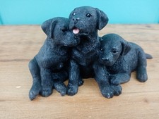 Border Fine Arts Dogs & Pups galore 3 Black Labrador puppies A1446