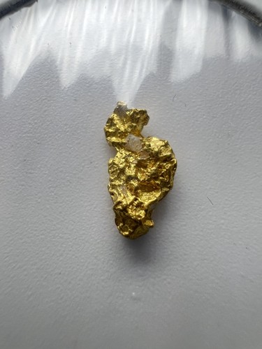 Gold nugget hand panned - gold,