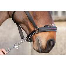 LeMieux Prosafe Headcollar -
