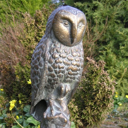 Stunning sitting owl - stunning,