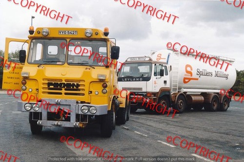 Truck photo fellows - photo,