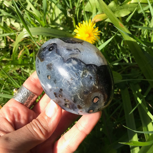 Dendritic agate palm stone - palm,