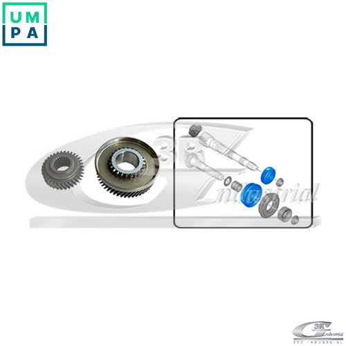 Pinion speedometer 24242 - 24242, for