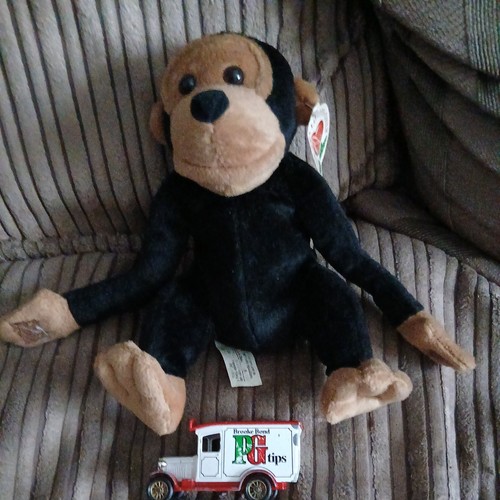 Tips monkey chimp tagged - pg,
