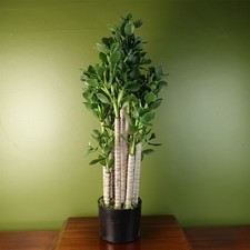 Artificial Large Plant Shrub