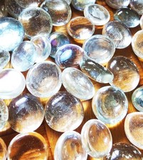 Ornamental Clear/ Translucent