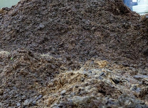 Horse manure 7kg bags - horse, in