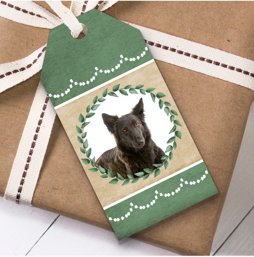 Dutch shepherd dog green - shepherd,