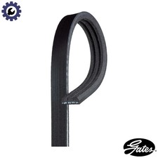 VRIBBED BELT 3PK668 FOR