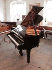 Reconditioned, Carl Steinberg