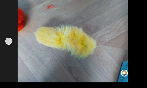 Arctic fox full - , tail