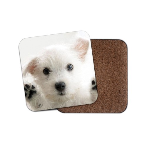 Westie puppy drinks coaster - puppy,