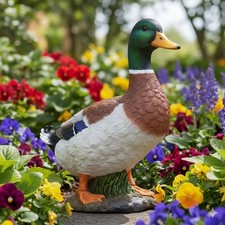 Duck Ornament Outdoor