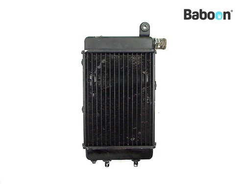 Radiator right aprilia tuono - radiator,