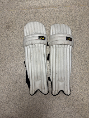 Woodworm cricket batting - cricket, pads