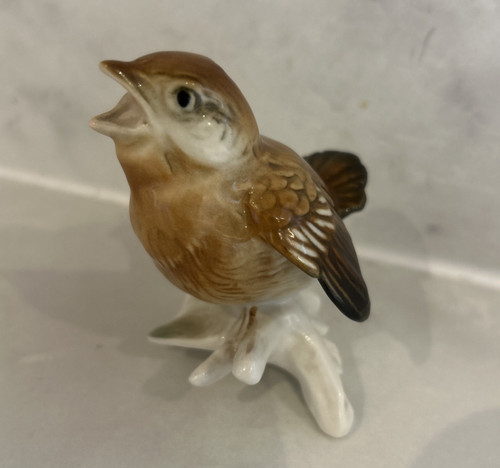 Karl ens sparrow chick - ens,