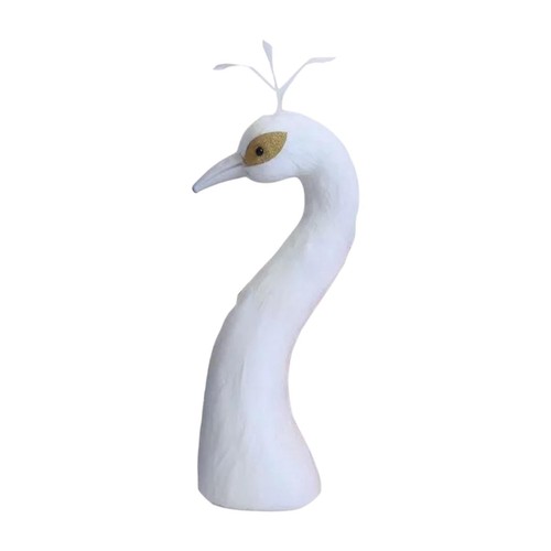 Peacock head display - display, for