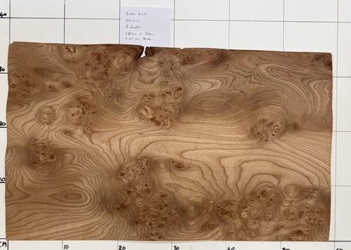 Burr elm veneer sheets 58cm - sheets,