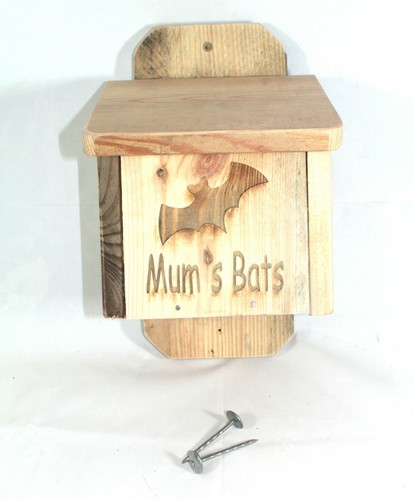 Bat box mum - bat, day)
