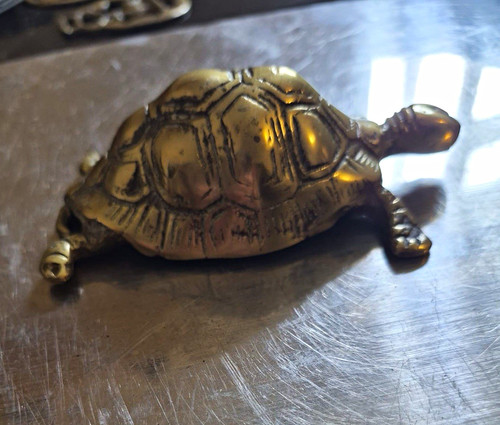 Metal brass tortoise turtle - metal, tortoise/turtle