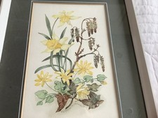An Original Spring Botanical