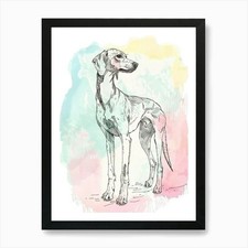 Pastel saluki dog - saluki,