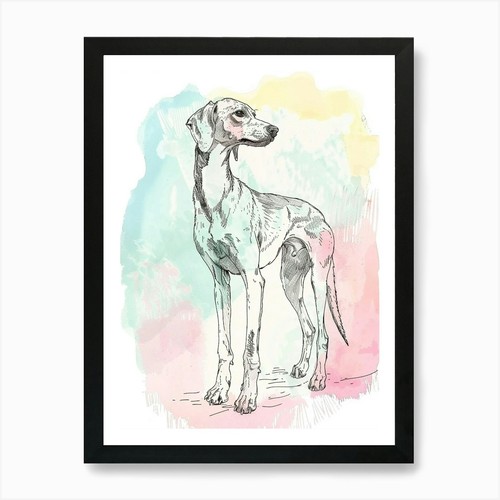 Pastel saluki dog - pastel,