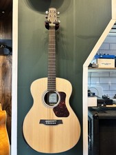 Walden 550RE Acoustic Guitar -