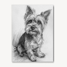 Yorkshire Terrier Pencil