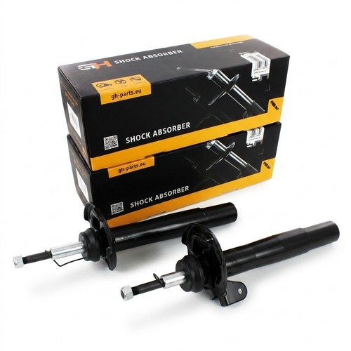 Gas shock absorbers - 2x,