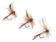 March brown classic - brown, dry