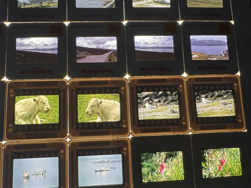 35mm photograph slides 122 - 35mm,
