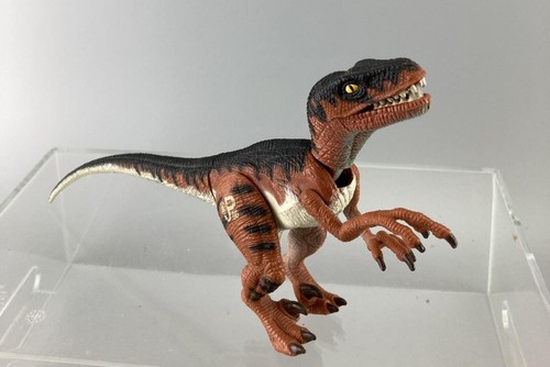 Jurassic park velociraptor - jurassic,