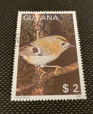 1987 Guyana stamp $2 Goldcrest