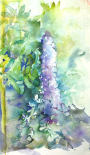 Large impressionistic watercolour painting of delphiniums by unknown artist