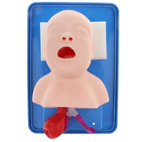 Baby infant intubation manikin - baby,