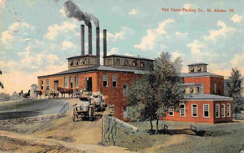 Van camp packing - van, plant