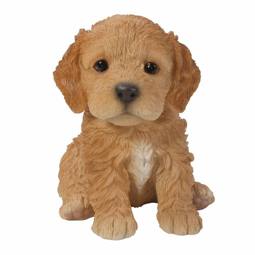 Vivid arts brown cockapoo pet - brown,