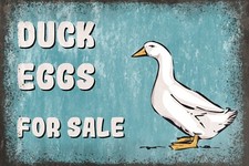 Duck Eggs For Sale, Aged Look New Metal Sign for Farm, Drive, Garden, Gate
