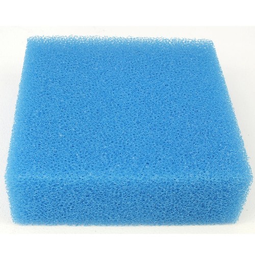 Compatible juwel aquarium fish - aquarium,