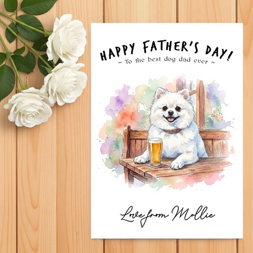 Pomeranian white father - pomeranian, father’s