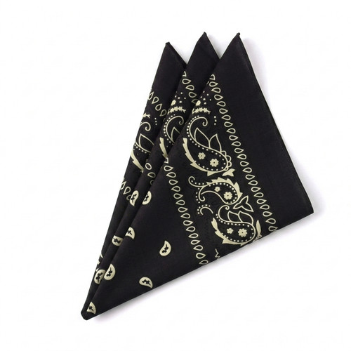 Bandana cotton paisley mouth - bandana,